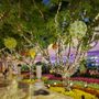 Photo of Wynn Fountain Show