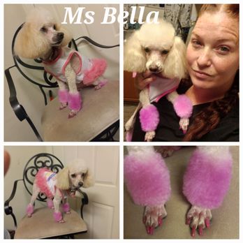 Bon Bonz Unique Stylez - Pet Groomers Near Me Bon Bonz Unique Stylez - Pet Groomers Near Me