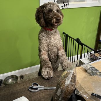 Pet Wants - Pet Stores Near Me - Plano, Texas