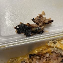 Javi's Taco Shack - Oily food and burned tortilla.