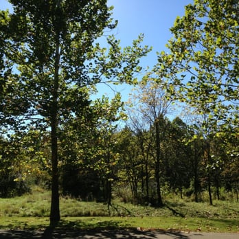 Illini State Park - Parks Near Me - Marseilles, Illinois