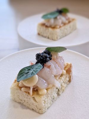 Miku Vancouver by null Miku Vancouver by null