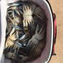 Photo of Fun Time Crabbing