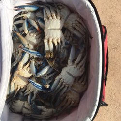 Fun Time Crabbing