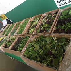 Scarborough Farms