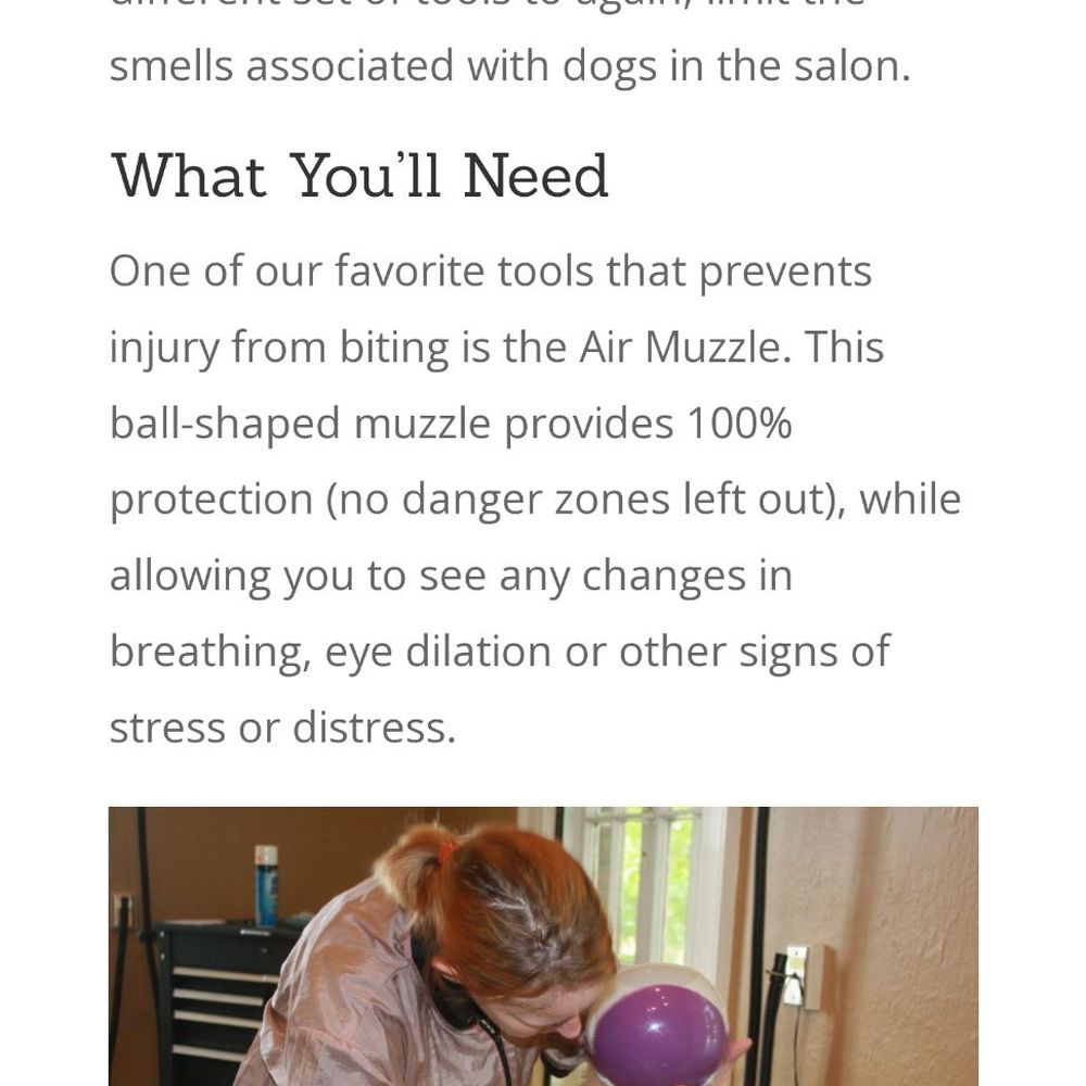 Rapawzel - Pet Groomers Near Me - Flushing, New York