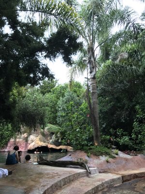 The Lost Spring by null