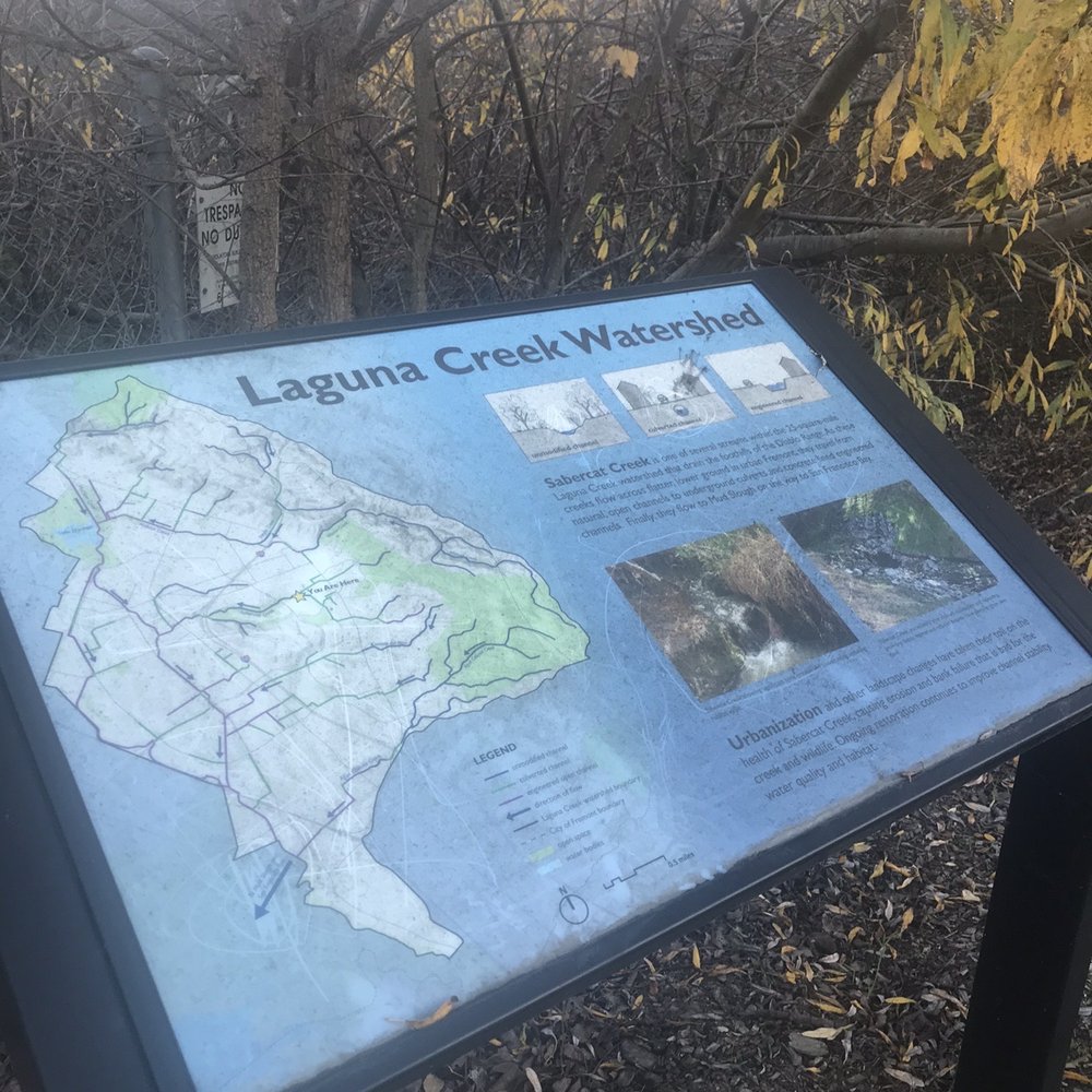 Sabercat Creek Trail - Parks Near Me - Fremont, California Sabercat Creek Trail - Parks Near Me - Fremont, California