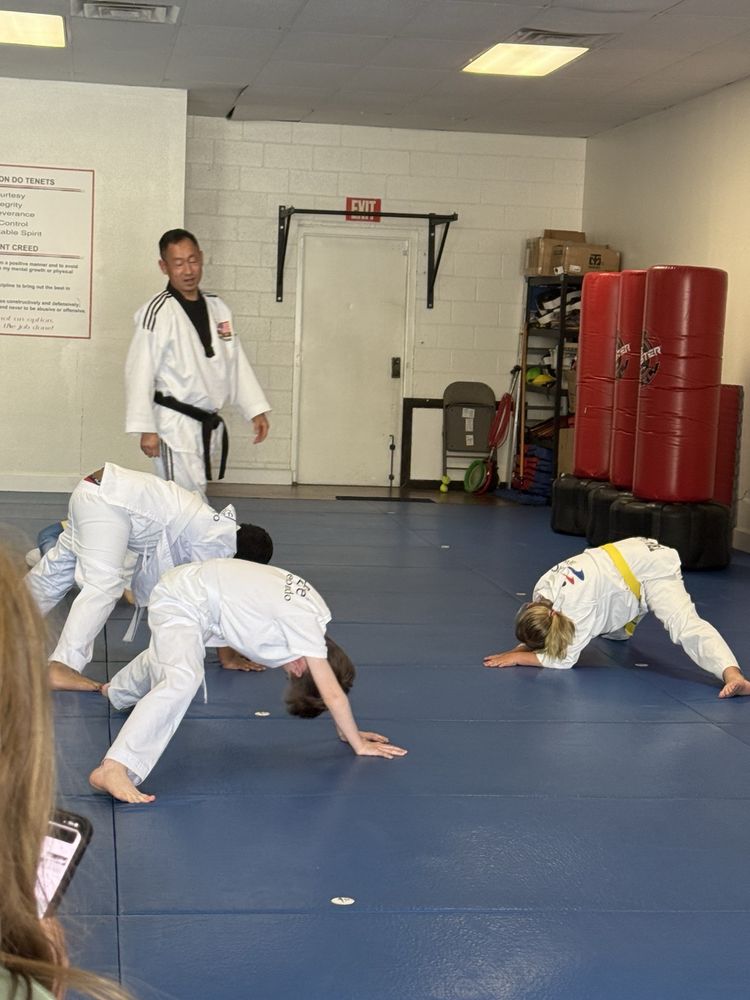 Excel Taekwondo Academy Logo