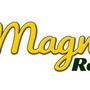 Photo of Magnolia Records - Vinyl Record Buyers