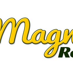 Magnolia Records - Vinyl Record Buyers
