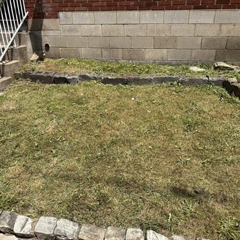 Calabro Landscaping Solutions - Front yard - Lawn Services Near Me Calabro Landscaping Solutions - Front yard - Lawn Services Near Me