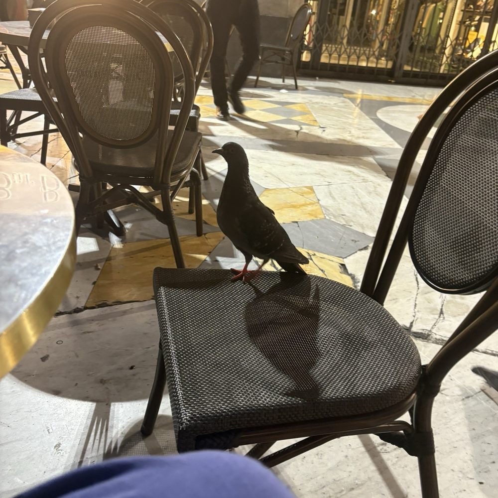 Bar Brasiliano - Bars Near Me - Naples, NA