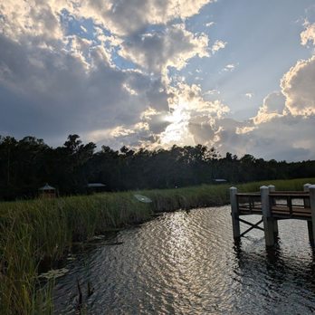 Colt Creek State Park - Parks Near Me - Lakeland, Florida