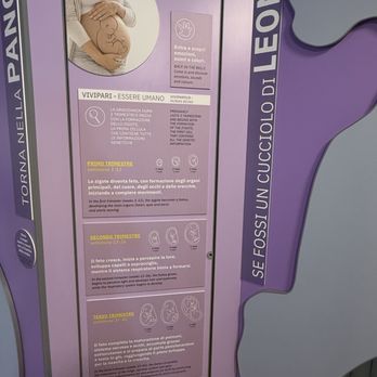 Explora - Museums Near Me - Rome, RM