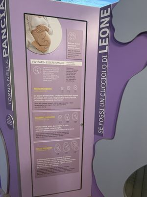 Explora - Il Museo dei Bambini di Roma by null