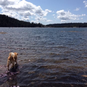 Lake Alpine - Campgrounds Near Me - Bear Valley, California