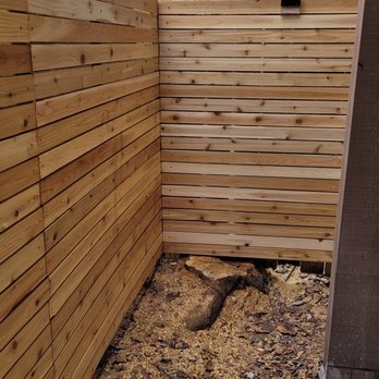 Sanchez's Tree Service - The team was able to remove tree from difficult spot without damaging the fence. - Tree Services Near Me