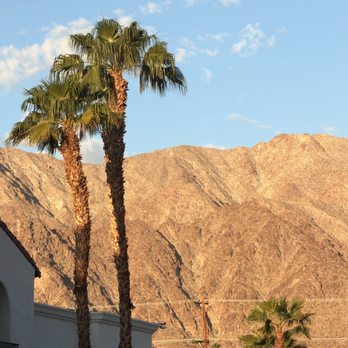 YES PLEASE - View from patio seating - Coffee & Tea Near Me - La Quinta, California YES PLEASE - View from patio seating - Coffee & Tea Near Me - La Quinta, California