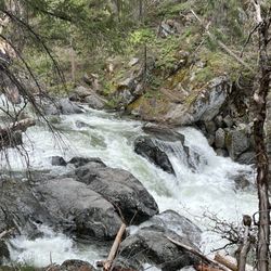 Carlon Falls Trail - Downstream from Carlon Falls