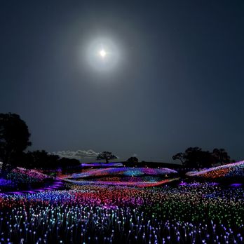 Sensorio - Sensorio field - Art Galleries Near Me - Paso Robles, California