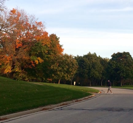 Whitnall Park by null