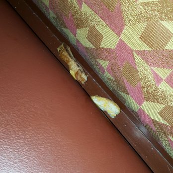 Panera Bread - Gross!! And we were the first ones in the restaurant this morning. - Sandwiches Near Me - Fairfield, California