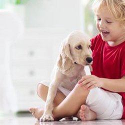 Raymond Plumbing, Heating & Air Conditioning