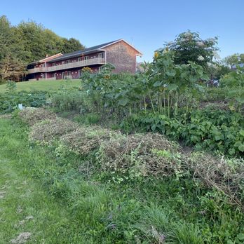 The Red Barn Motel - Garden - Hotels Near Me - Milbridge, Maine
