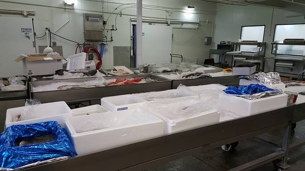 Los Angeles Fish Co by null