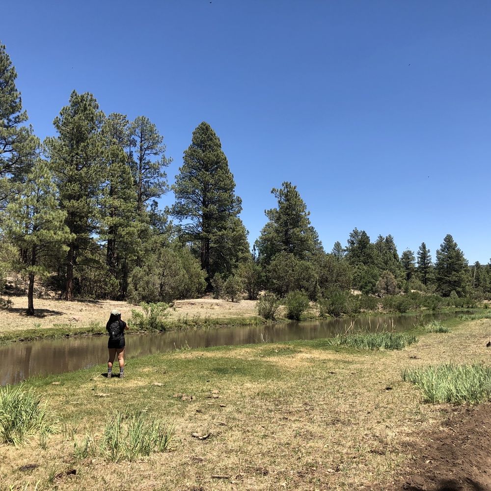 Blue Ridge Cave Trail - Hiking Near Me - Lakeside, Arizona Blue Ridge Cave Trail - Hiking Near Me - Lakeside, Arizona