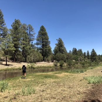 Blue Ridge Cave Trail - Hiking Near Me - Lakeside, Arizona