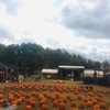 Pumpkinville gift card