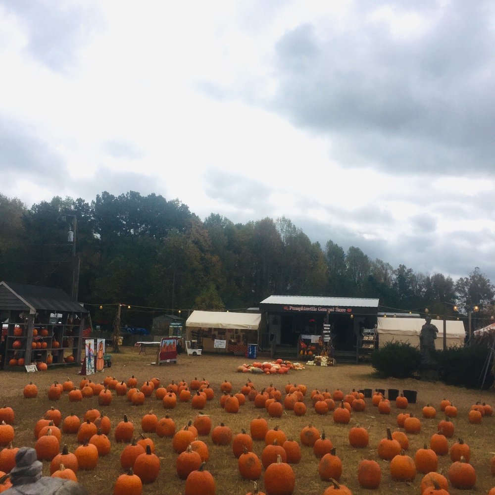 PUMPKINVILLE Updated September 2024 7691 Richmond Rd, Williamsburg