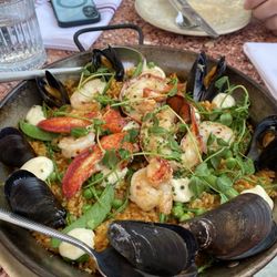 Lobster Palella