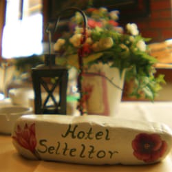 Restaurant Selteltor