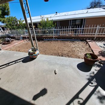 Big Bully Turf - This is how the Big Bully Turf Project started! - Artificial Turf Near Me - Tucson, Arizona Big Bully Turf - This is how the Big Bully Turf Project started! - Artificial Turf Near Me - Tucson, Arizona