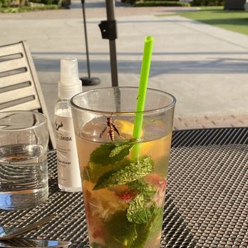 Ulele - Mocktail - New American Near Me - Tampa, Florida