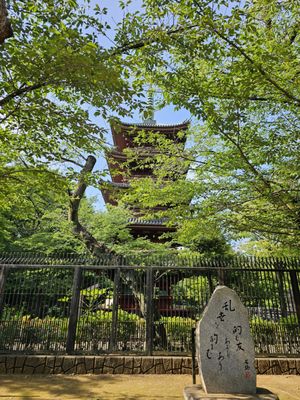 Ueno Toshogu Shrine by null