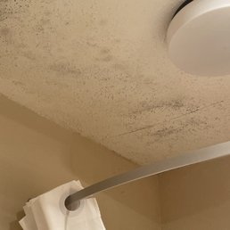 Mold and mildew in bathroom Mold and mildew in bathroom