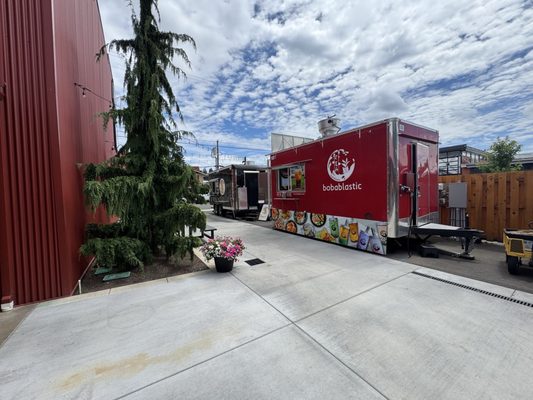 Twirling Bird by null