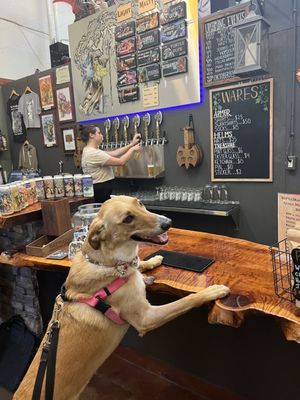 BattleMage Brewing Company by null