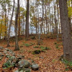 Slabtown Creek Park