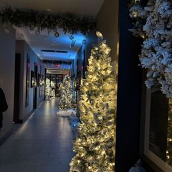 Entry to rooftop bar/restaurant
