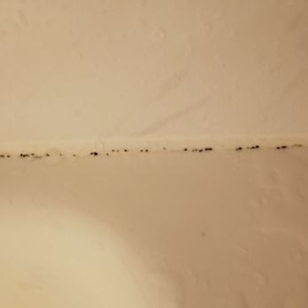 Wyndham Garden Ann Arbor - Mold in the shower - Hotels Near Me - Ann Arbor, Michigan Wyndham Garden Ann Arbor - Mold in the shower - Hotels Near Me - Ann Arbor, Michigan