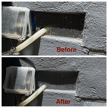 Zeal Pest Management - Keeping our customer rodent proofed. - Pest Control Near Me Zeal Pest Management - Keeping our customer rodent proofed. - Pest Control Near Me