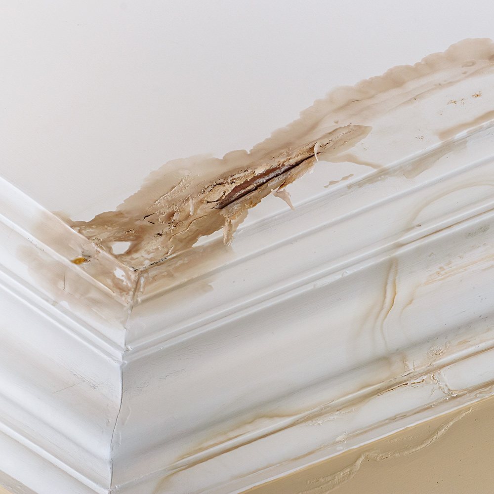 Slide of Gulf Coast Roofing