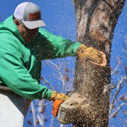 Better Tree Services