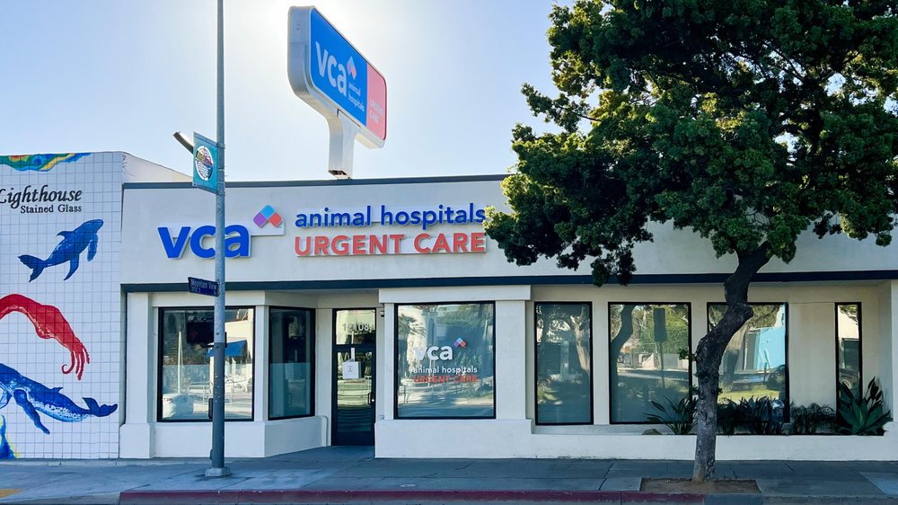 VCA ANIMAL HOSPITALS URGENT CARE MAR VISTA Updated September 2024 31 Photos & 76 Reviews