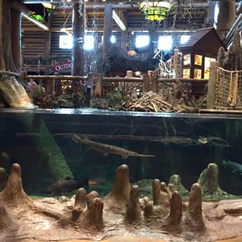 Bass Pro Shops - Beaver Dam - Boating Near Me - Springfield, Missouri